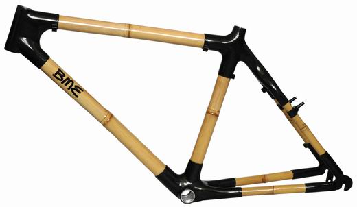 Bamboo Bike