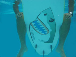 Shark repellent sticker