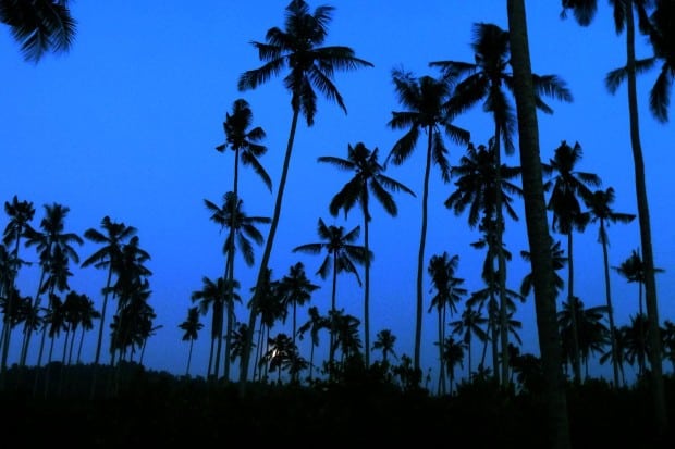 Bali-by-night