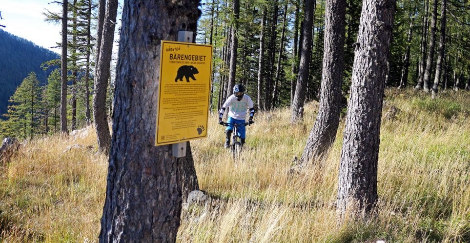 Biker in woods with bears