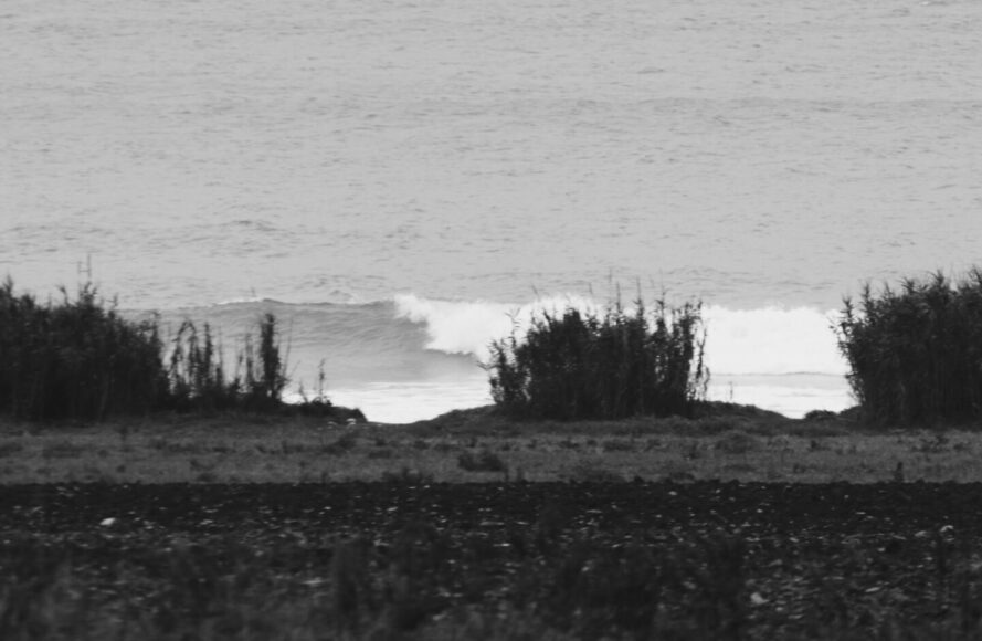 Glassy surfing in Adraitic sea (4)