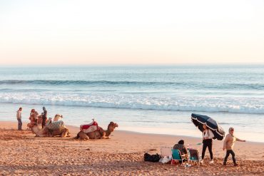 Camels on the beach in Morocco