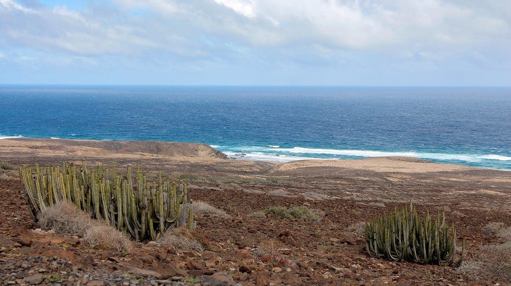 Driving to the south tip of Fuerteventura and then turning right will bring you to Cofete. Apart from a nice view from the pass above Cofete, the beach is pretty boring.