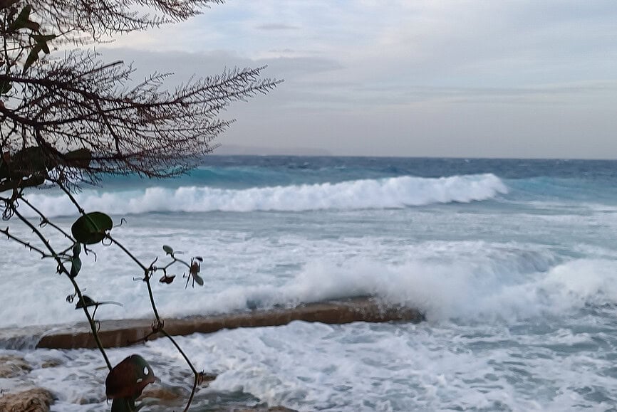 Morning surf check