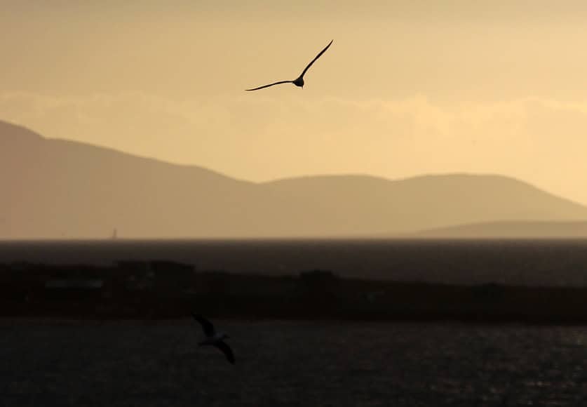 Morning at the sea