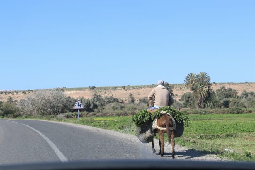 One of the rare water rich valleys has booming agriculture with donkey being the main mint plant transport vehicle.
