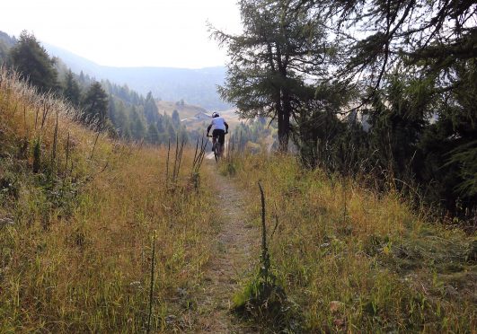 mountain biking trails for beginners